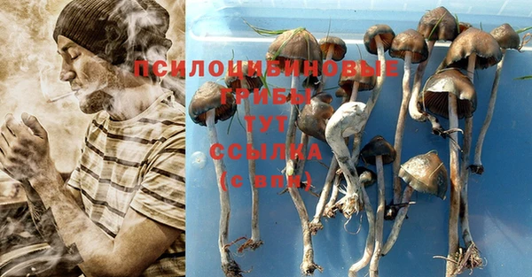 синтетический гашиш Карпинск