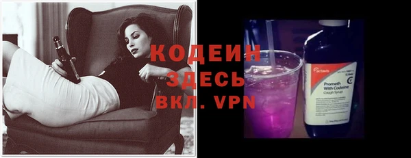 хмурый Каменка
