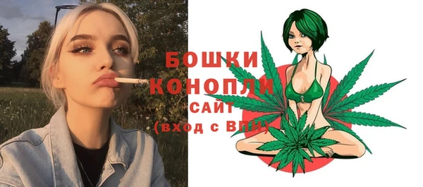 стафф Каменногорск